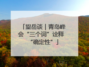 望岳谈｜青岛峰会“三个词”诠释“确定性”