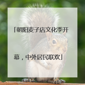 朝阳麦子店文化季开幕，中外居民联欢