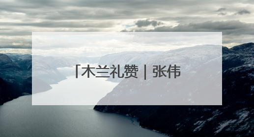 木兰礼赞｜张伟：用脚步丈量城市经纬，为民生项目按下“加速键”