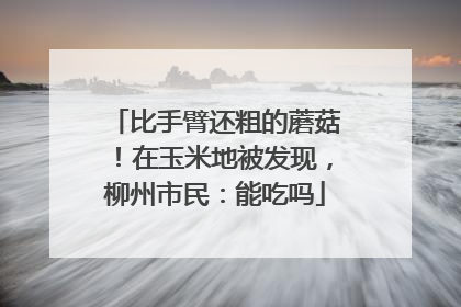 比手臂还粗的蘑菇！在玉米地被发现，柳州市民：能吃吗