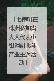 毛伟明在株洲参加省人大代表小组调研北斗产业主题活动