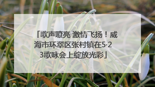 歌声嘹亮 激情飞扬！威海市环翠区张村镇在5·23歌咏会上绽放光彩