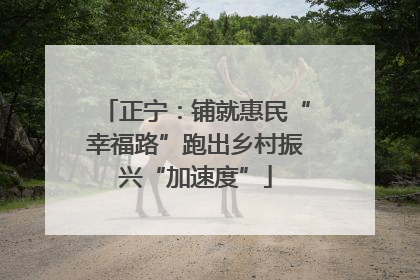 正宁：铺就惠民“幸福路”跑出乡村振兴“加速度”