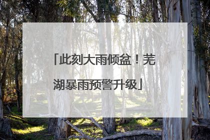 此刻大雨倾盆！芜湖暴雨预警升级