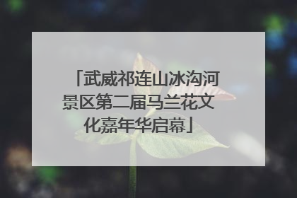 武威祁连山冰沟河景区第二届马兰花文化嘉年华启幕