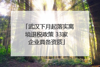 武汉下月起落实离境退税政策 33家企业具备资质