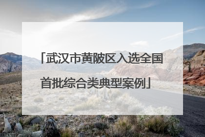武汉市黄陂区入选全国首批综合类典型案例