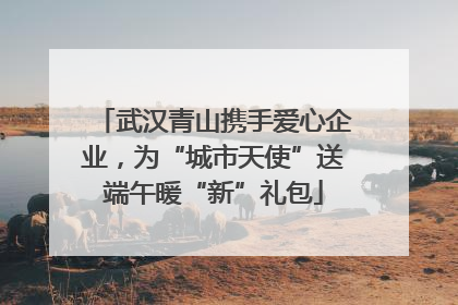 武汉青山携手爱心企业，为“城市天使”送端午暖“新”礼包