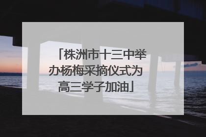 株洲市十三中举办杨梅采摘仪式为高三学子加油