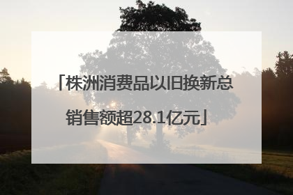 株洲消费品以旧换新总销售额超28.1亿元