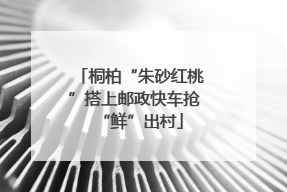 桐柏“朱砂红桃”搭上邮政快车抢“鲜”出村