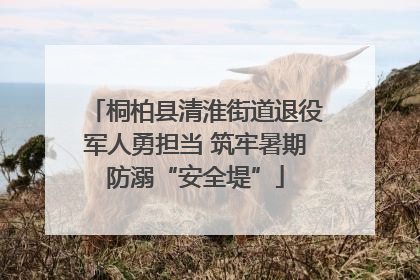 桐柏县清淮街道退役军人勇担当 筑牢暑期防溺“安全堤”