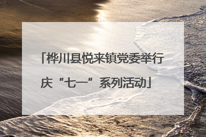 桦川县悦来镇党委举行庆“七一”系列活动