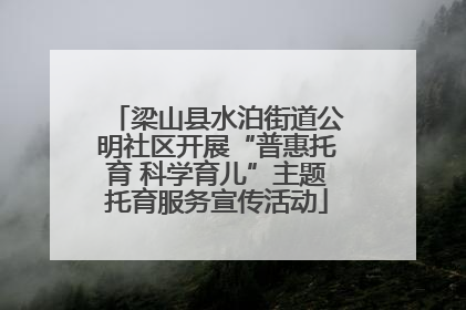 梁山县水泊街道公明社区开展“普惠托育 科学育儿”主题托育服务宣传活动