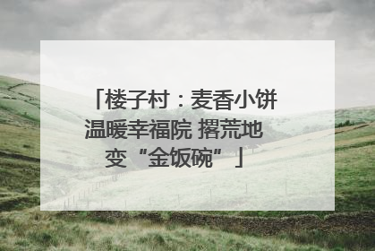 楼子村：麦香小饼温暖幸福院 撂荒地变“金饭碗”