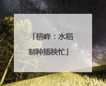 横峰：水稻制种插秧忙