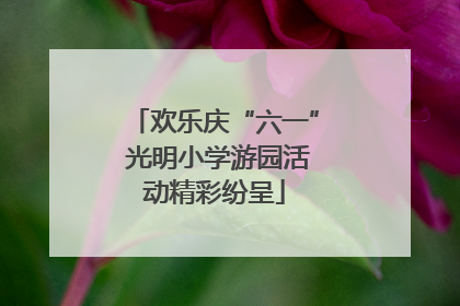 欢乐庆“六一” 光明小学游园活动精彩纷呈