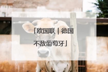 欧国联｜德国不敌葡萄牙