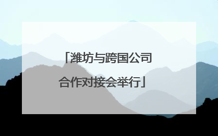 潍坊与跨国公司合作对接会举行