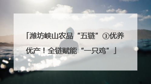 潍坊峡山农品“五链”③优养优产！全链赋能“一只鸡”