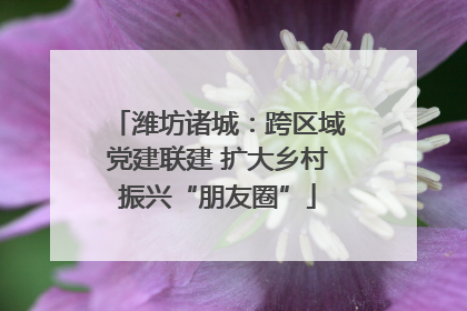 潍坊诸城：跨区域党建联建 扩大乡村振兴“朋友圈”