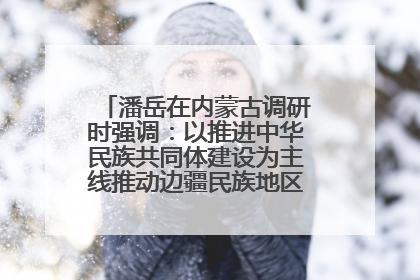 潘岳在内蒙古调研时强调：以推进中华民族共同体建设为主线推动边疆民族地区高质量发展