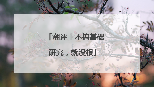 潮评丨不搞基础研究，就没根