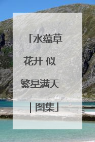 水蕴草花开 似繁星满天｜图集