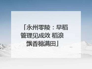 永州零陵：早稻管理见成效 稻浪飘香穗满田