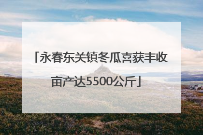 永春东关镇冬瓜喜获丰收 亩产达5500公斤