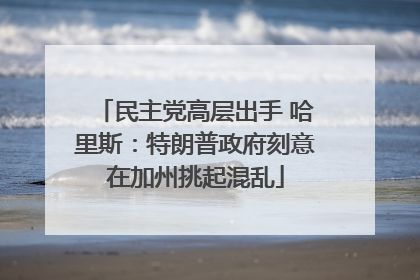 民主党高层出手 哈里斯：特朗普政府刻意在加州挑起混乱