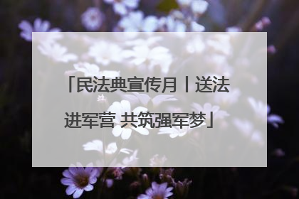 民法典宣传月丨送法进军营 共筑强军梦