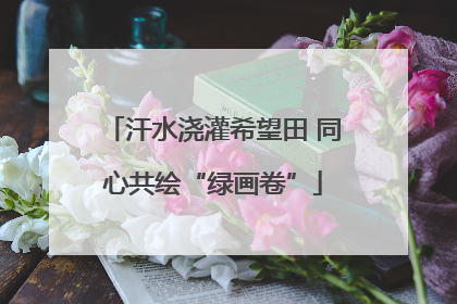 汗水浇灌希望田 同心共绘“绿画卷”