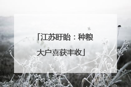 江苏盱眙：种粮大户喜获丰收