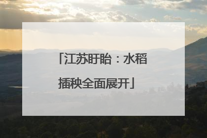 江苏盱眙：水稻插秧全面展开