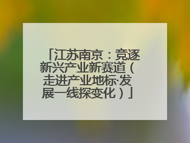 江苏南京：竞逐新兴产业新赛道（走进产业地标·发展一线探变化）
