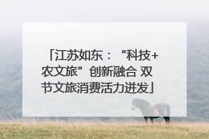 江苏如东：“科技+农文旅”创新融合 双节文旅消费活力迸发