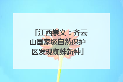 江西崇义：齐云山国家级自然保护区发现蜘蛛新种