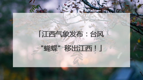 江西气象发布：台风“蝴蝶”移出江西！