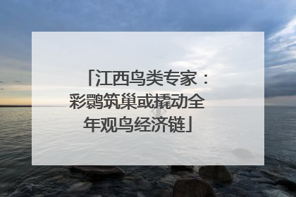 江西鸟类专家：彩鹮筑巢或撬动全年观鸟经济链
