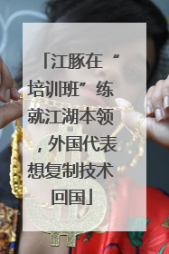 江豚在“培训班”练就江湖本领，外国代表想复制技术回国