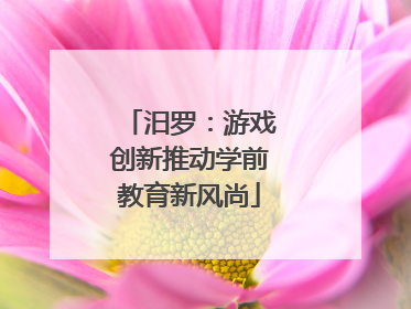 汨罗：游戏创新推动学前教育新风尚