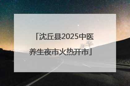 沈丘县2025中医养生夜市火热开市
