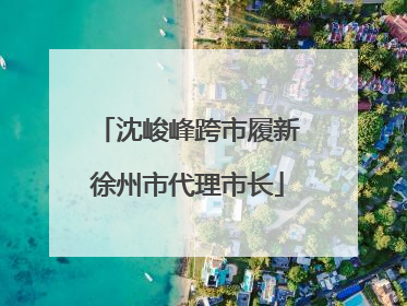 沈峻峰跨市履新徐州市代理市长