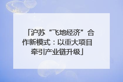 沪苏“飞地经济”合作新模式：以重大项目牵引产业链升级