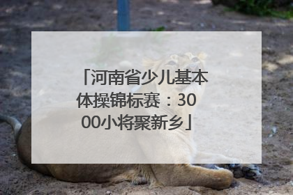 河南省少儿基本体操锦标赛：3000小将聚新乡