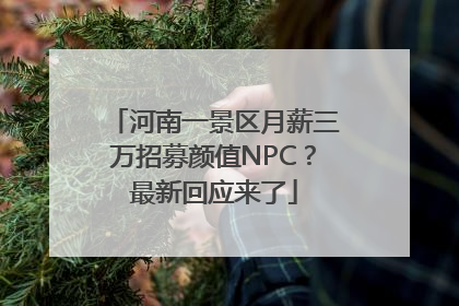 河南一景区月薪三万招募颜值NPC？最新回应来了