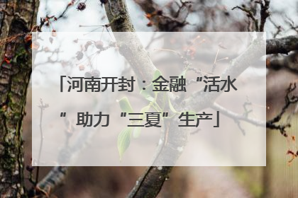 河南开封：金融“活水”助力“三夏”生产
