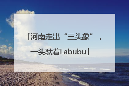 河南走出“三头象”，一头驮着Labubu
