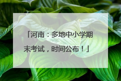 河南：多地中小学期末考试，时间公布！